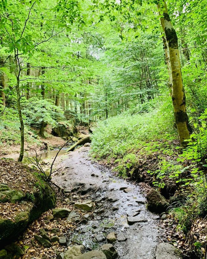 Tailor'S Trail Gite D'Adventure Beaufort Mullerthal المظهر الخارجي الصورة
