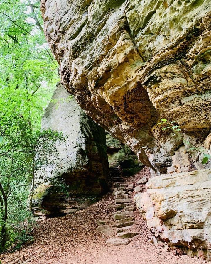 Tailor'S Trail Gite D'Adventure Beaufort Mullerthal المظهر الخارجي الصورة